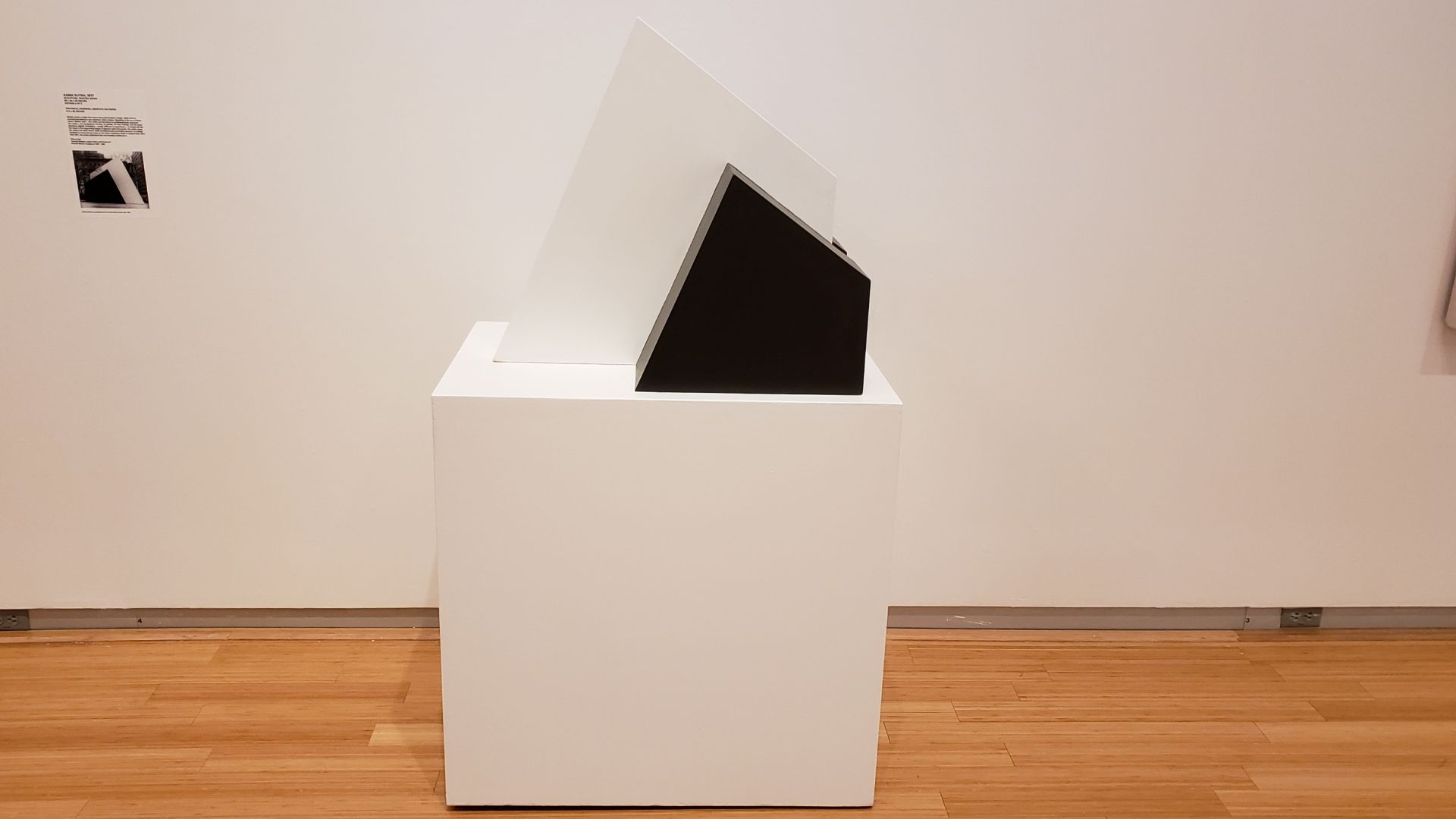 "Kama Sutra" by Ronald Bladen